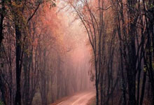 湖南队客场取胜，积分榜排名有所改善