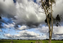 热那亚客场挑战国米，寻求突破性胜利