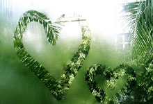 吉林奥运辽沈队士气高昂，开启新局面