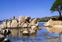 湖南主场，一场征服的交响曲：实力暴露无遗，荣耀由此绽放